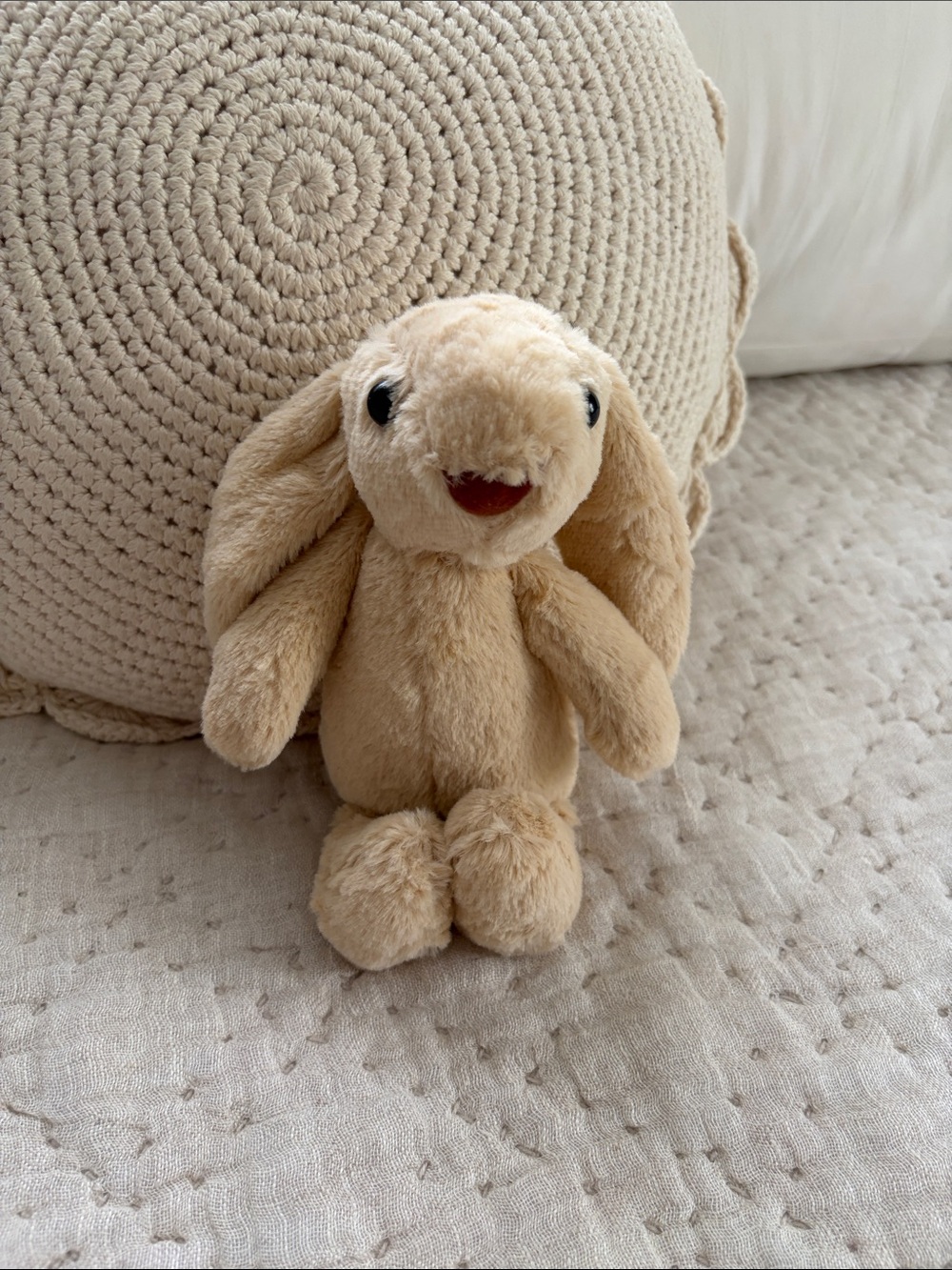 Accardi Plush Bunny